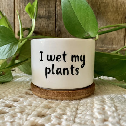 🎄Christmas Gift 50% Off--Funny unique succulent pots🌱
